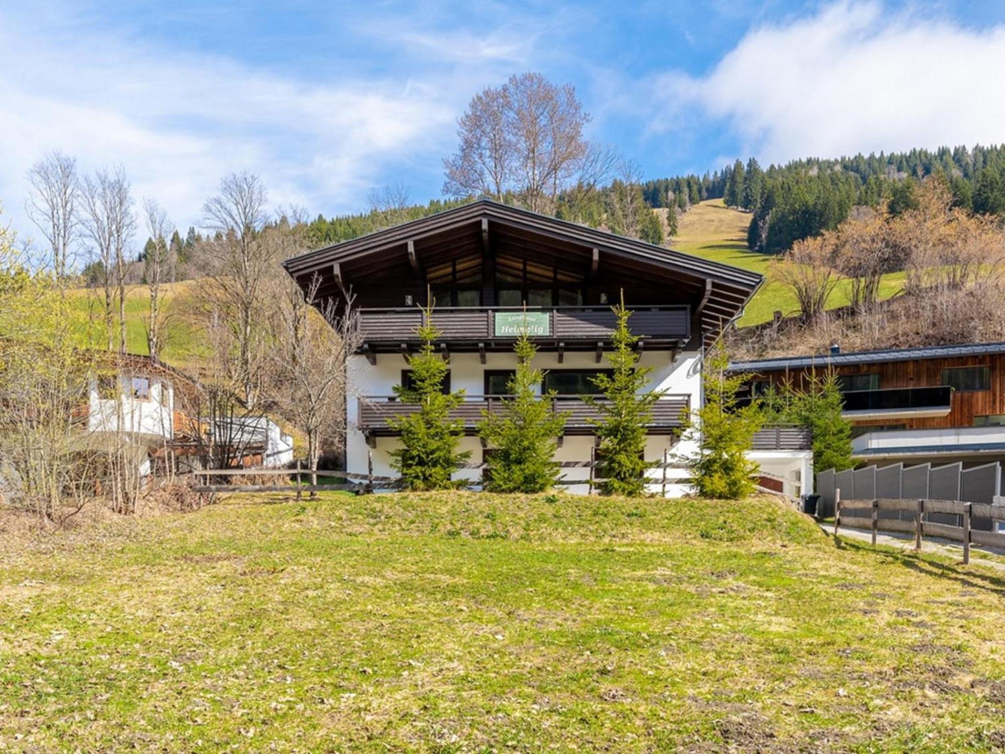 Chalet Heimelig M 萨尔巴赫 外观 照片